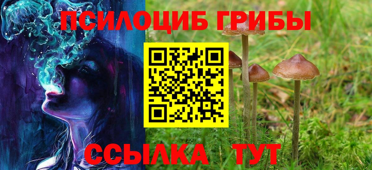 Псилоцибиновые грибы мухоморы  купить  сайты  Галлюциногенные грибы Cubensis  Дедовск  Вход с VPN 